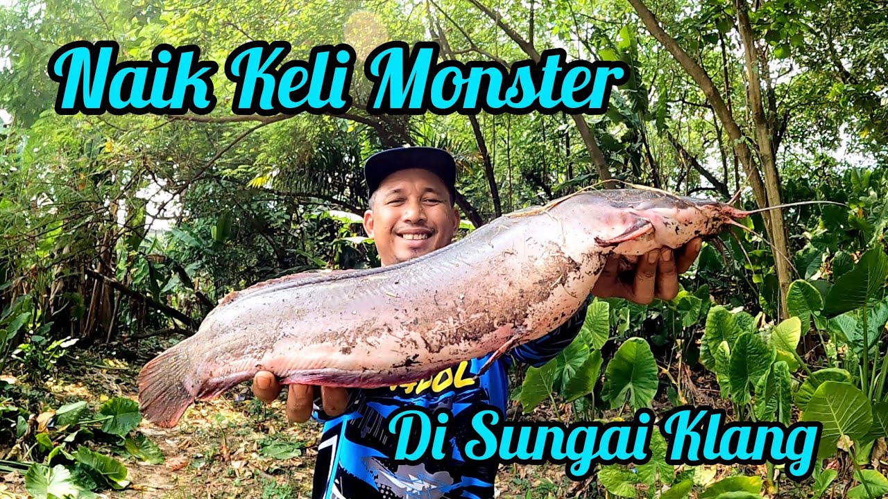 Memancing Ikan menggunakan perisa di Sungai Klang #gengdunia 