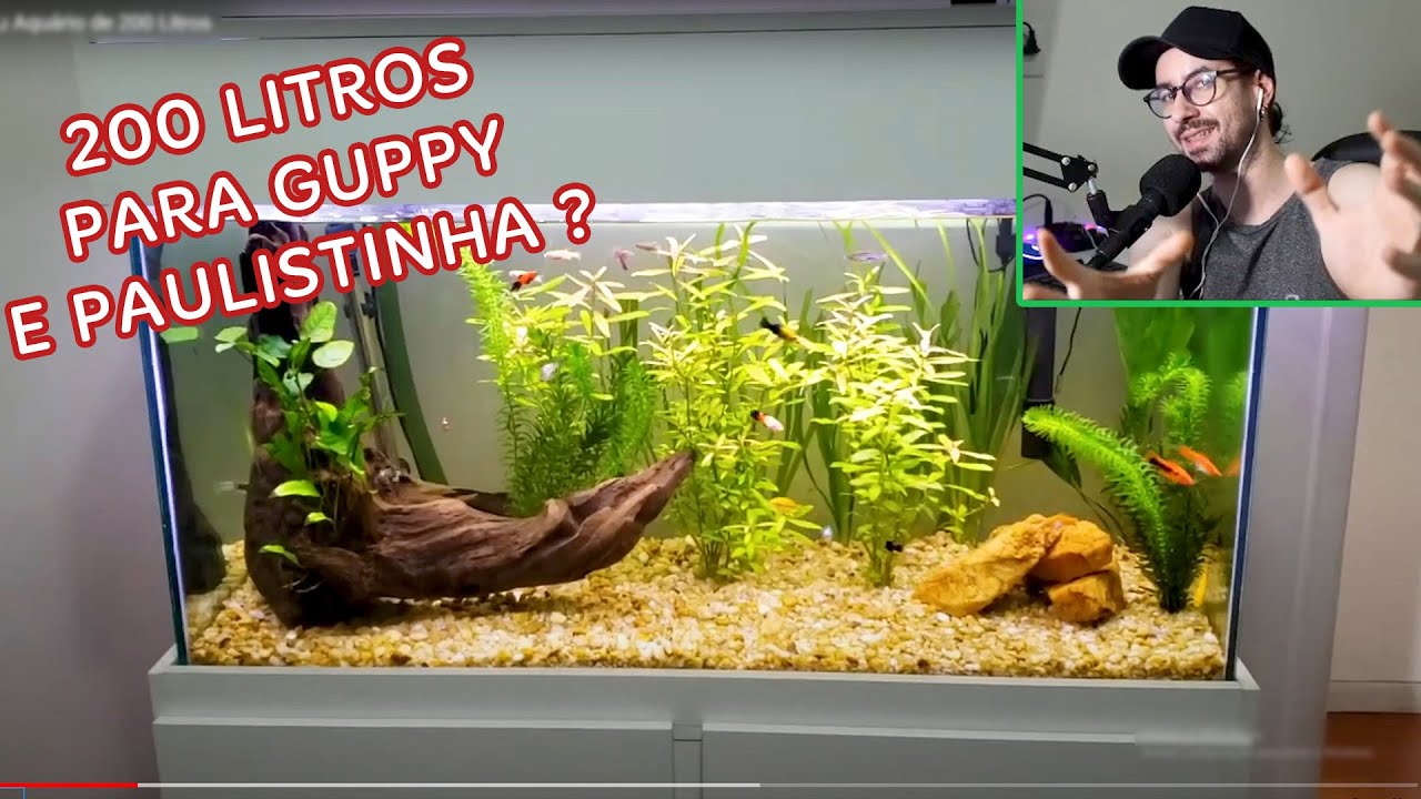 AQUÁRIO DE 200 litros é muito grande para PEIXES PEQUENOS?