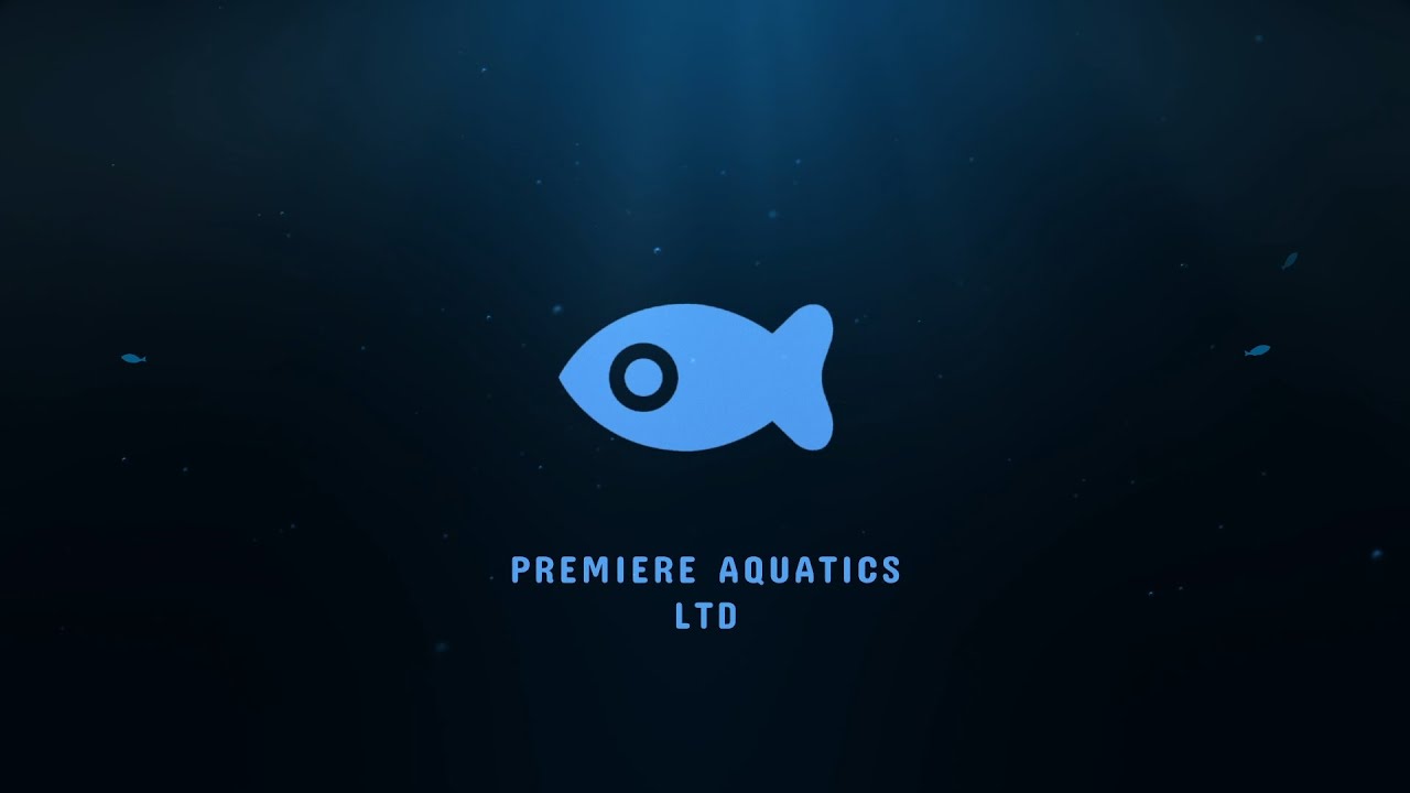 Premier Aquatics 'The interview' - Part 1.