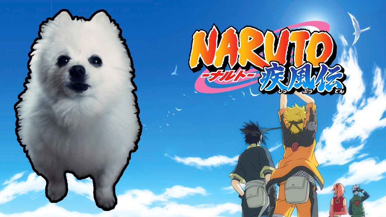 NARUTO SHIPPUUDEN - 'BLUE BIRD' em CACHORR&Ecirc;S