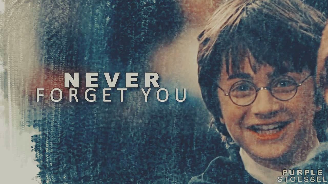 Harry & Hermione | Never Forget You