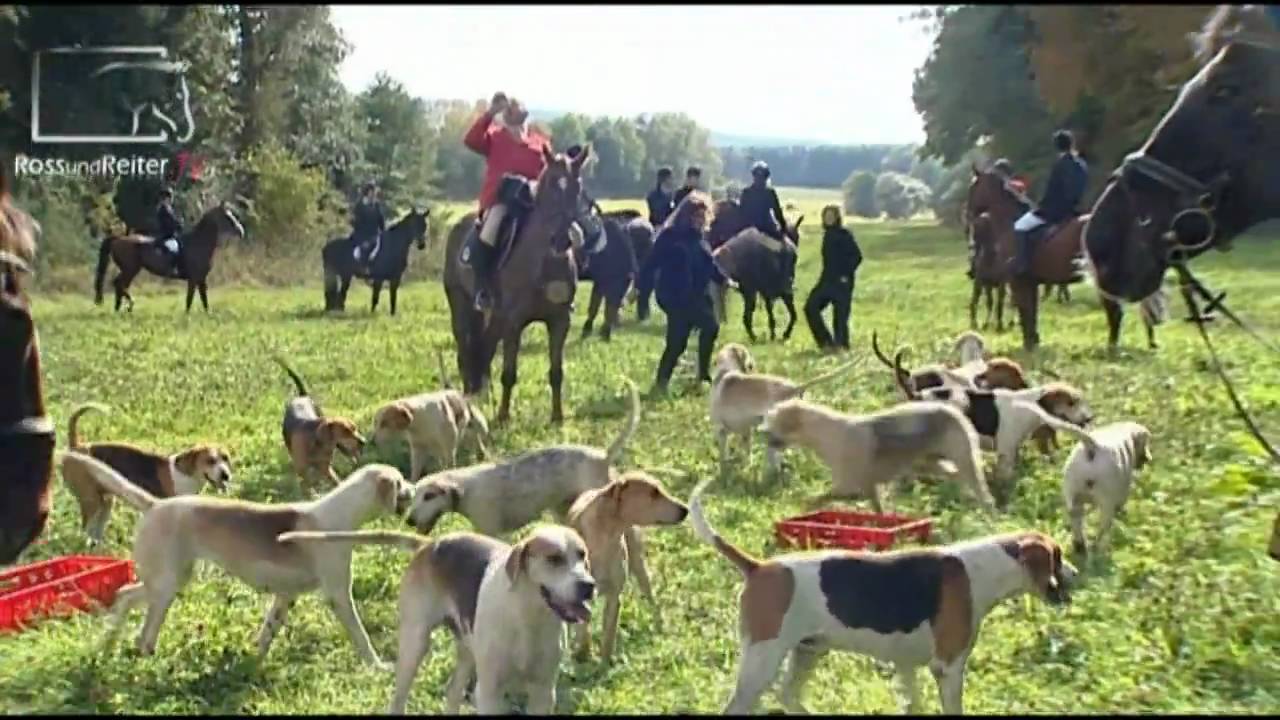 Auf Schleppjagd mit der Rheinland-Meute