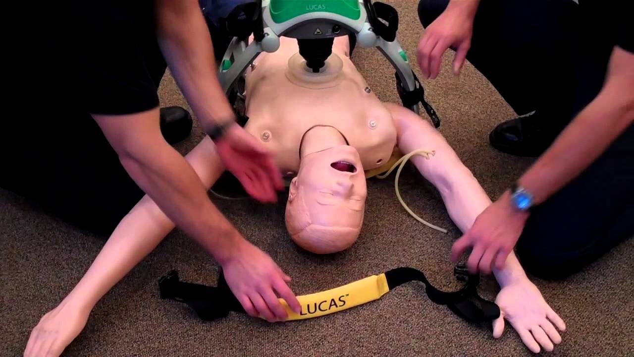 Lucas 2 Step By Step Instructions