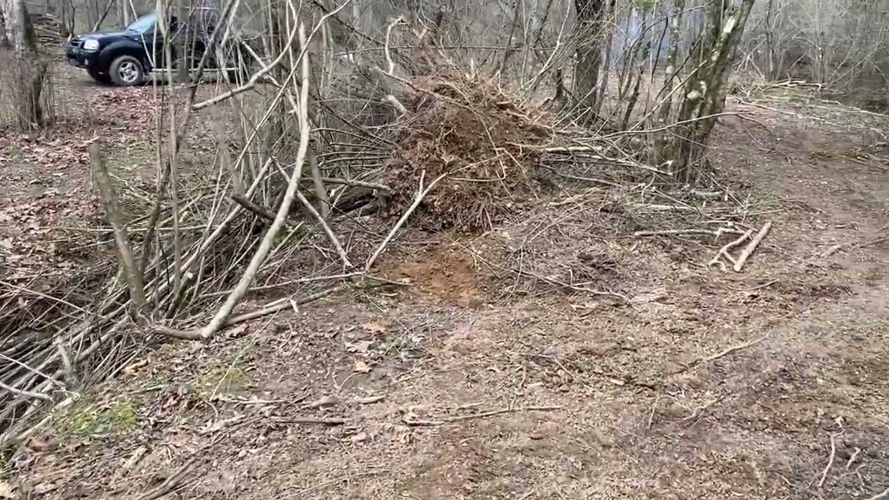 Cleared, Leveled, Landscape 