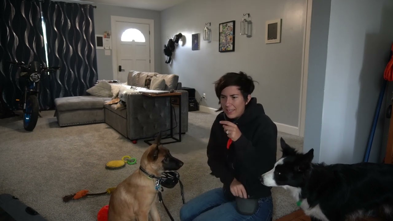 Bonus Video - Gear Desensitization