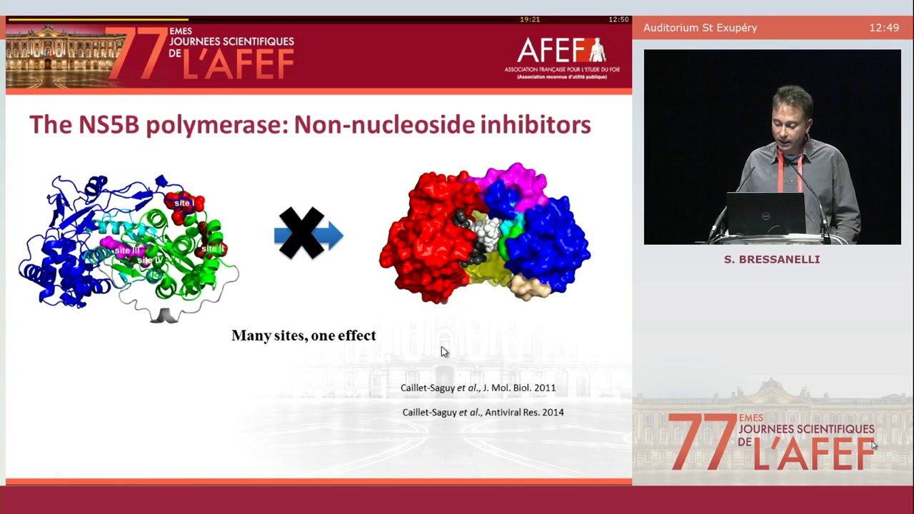 Mécanismes d'action des agents antiviraux directs de l'hépatite C - S. BRESSANELLI