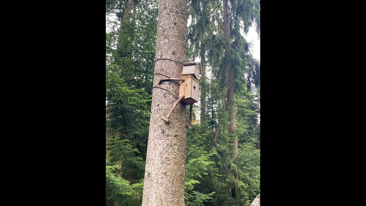 #Naturerlebnis #WaldAbenteuer #F&uuml;rGro&szlig;UndKlein #RausInDieNatur #Waldliebe #WandernMitKindern #Natur