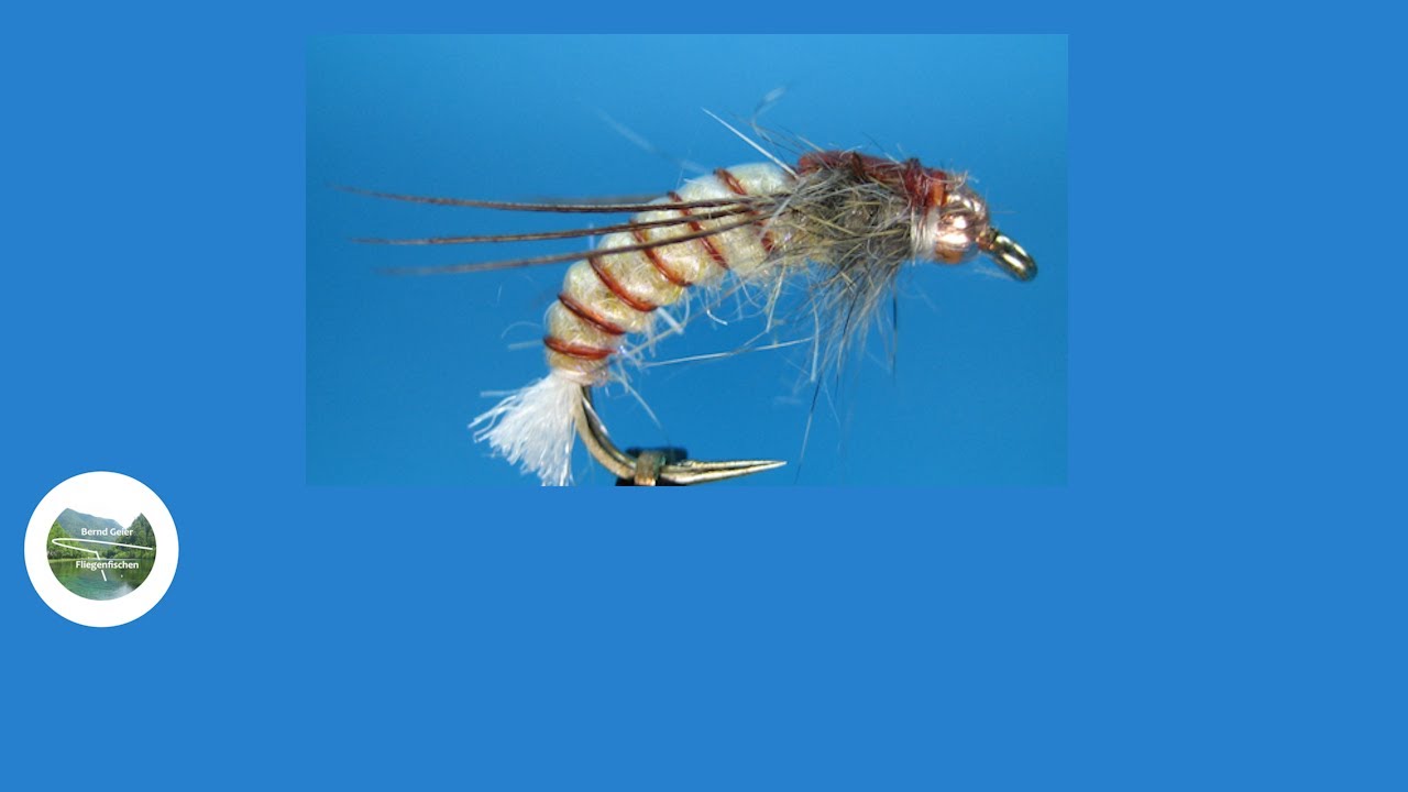 B.G. Köcherfliegen Aufsteiger, Raising Caddisfly
