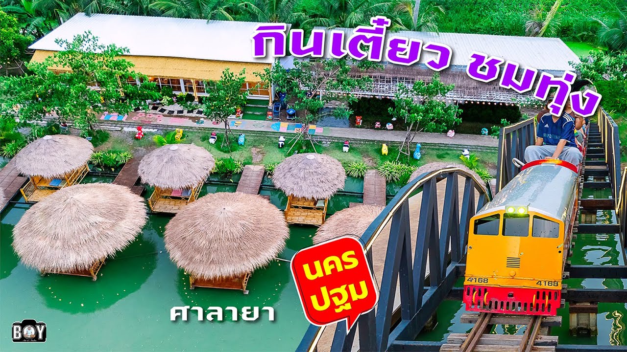 กินเตี๋ยว ชมทุ่ง ศาลายา ร้านอาหาร วิวทุ่งนา cafe & restaurant