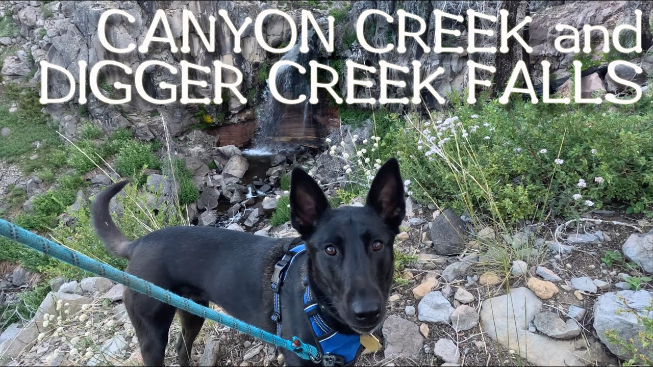 Lassen National Forest hiking | Canyon and Digger Creek Falls | northern California waterfalls