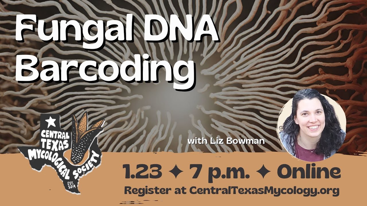 Fungal DNA Barcoding