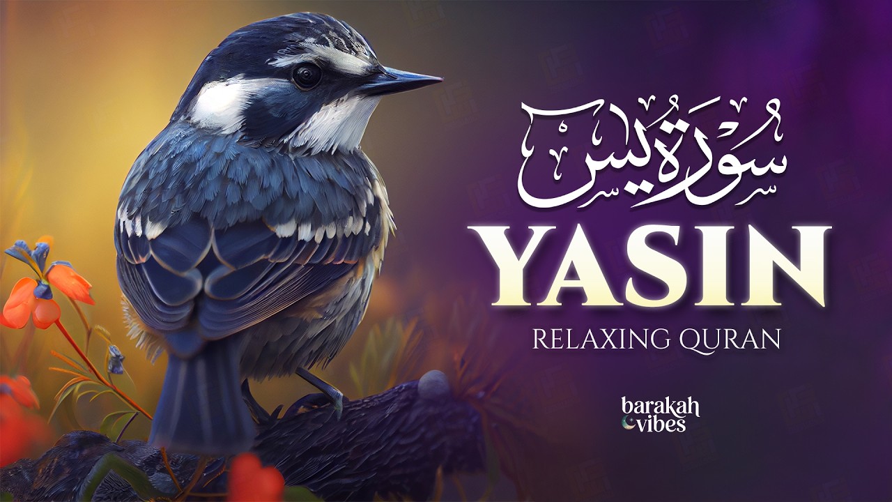 Surah Yaseen (Yasin) سورة يس | Emotional Comfort Through Lofi Relaxing Recitation | #surahyasin