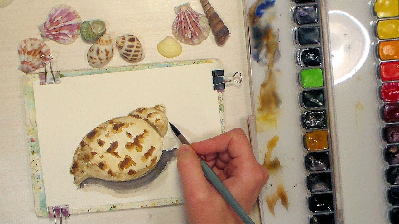 How to Paint a Simple Seashell // Beginner Watercolor Tutorial