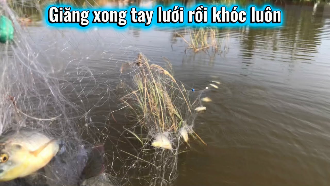 GIĂNG XONG TAY LƯỚI RỒI KHÓC LUÔN