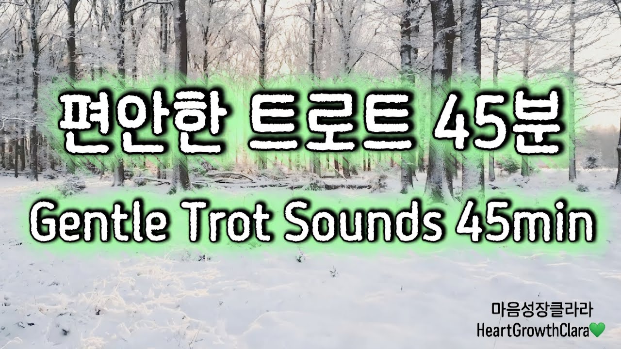 겨울 오후, 천천히 듣기 좋은 감성 트로트 45분💚 | Slow Emotional Trot for a Relaxing Afternoon 45min💚