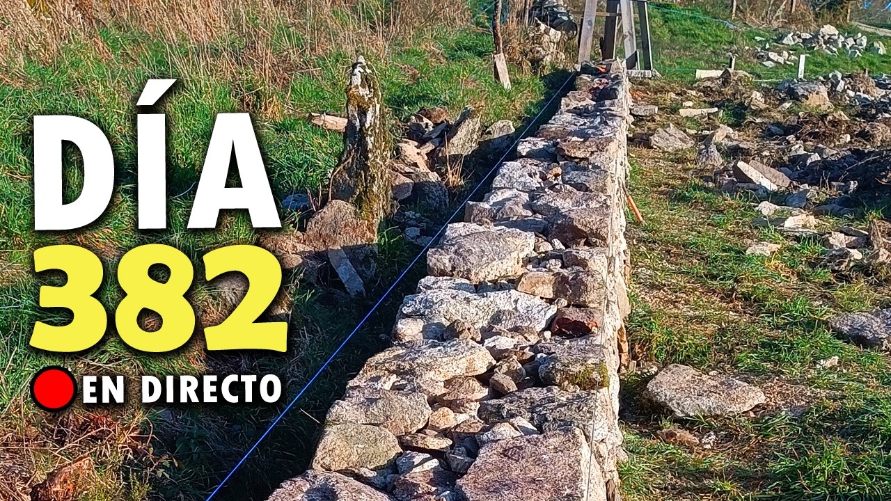 Día 381 | Construyendo un MURO de PIEDRA | Proyecto Autosuficiente IRL
