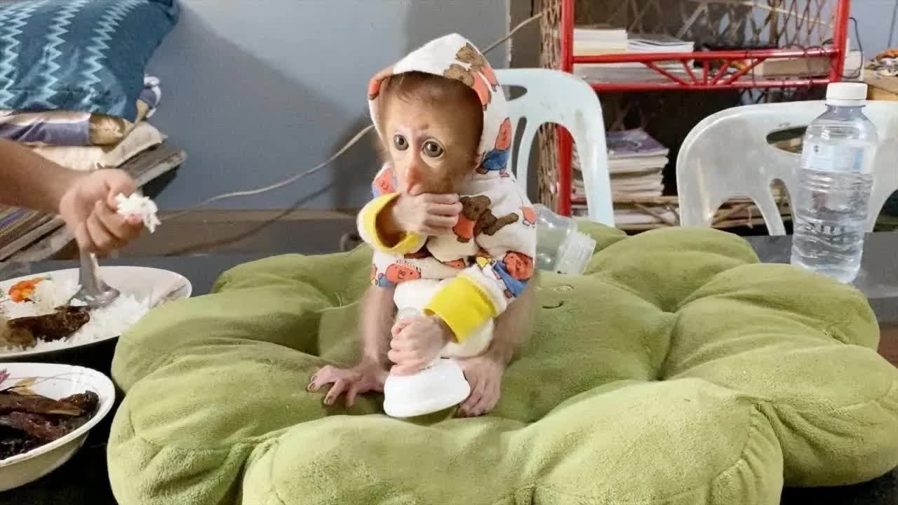 So Beautiful BB DAM Got New Outfits This Morning