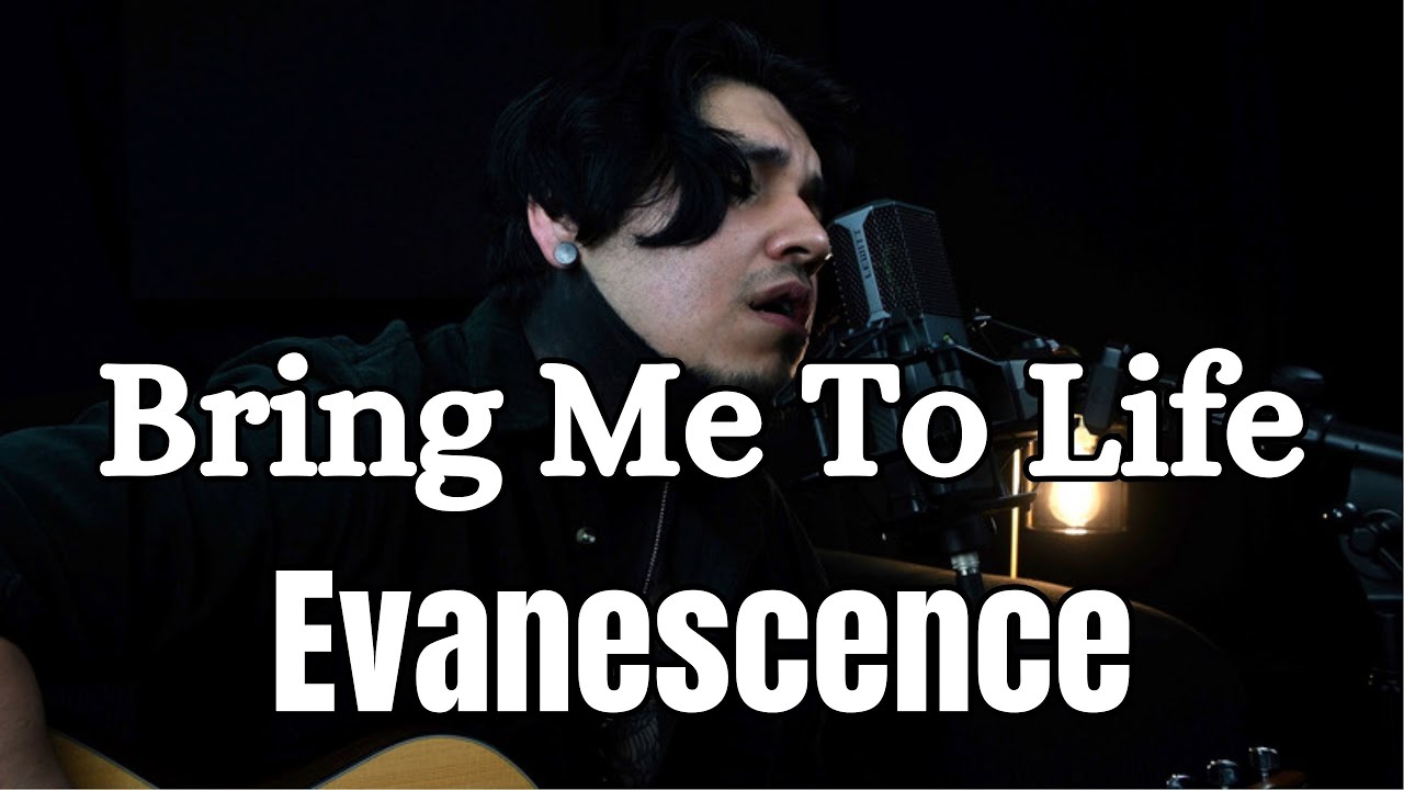 Evanescence - Bring me to Life Cover