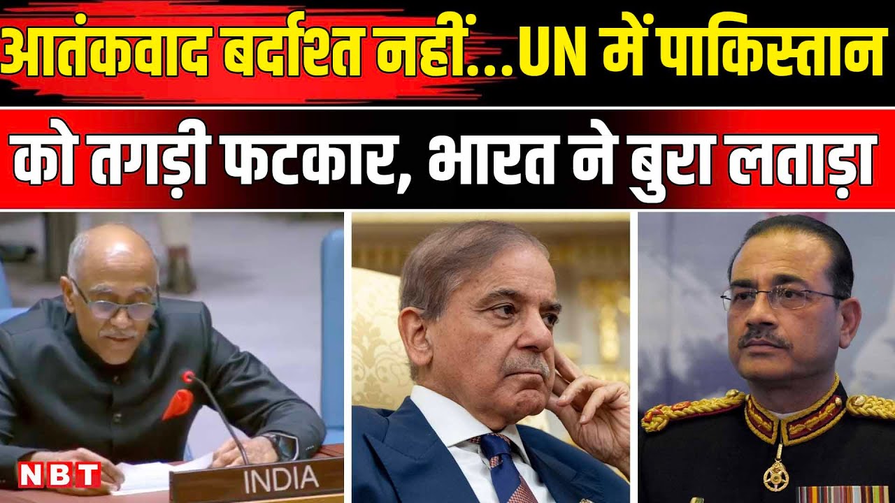 India Pakistan In UNSC: आतंकवाद पर झूठ बोल रहा था पाकिस्तान, भारत ने दिया कड़ा मैसेज | NBT