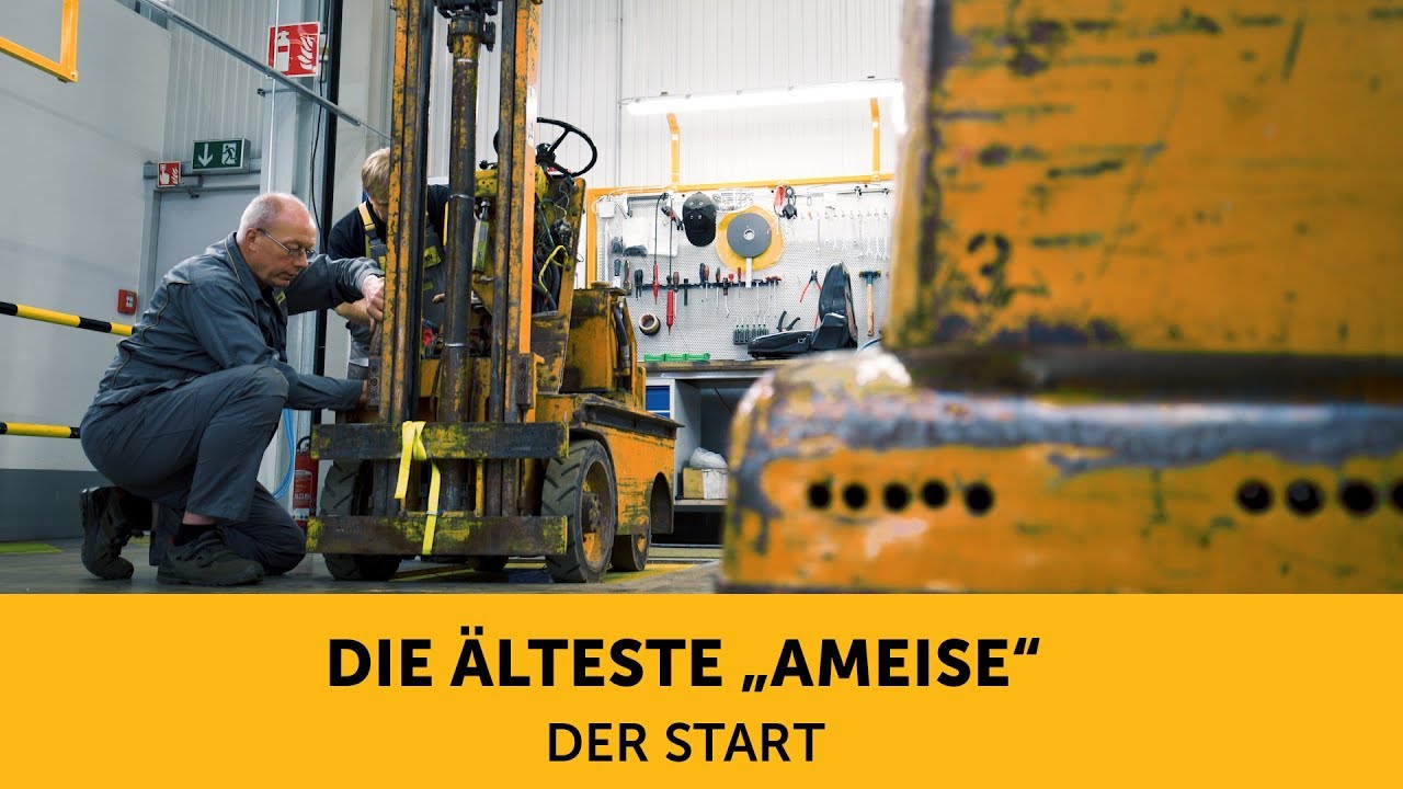 Die älteste Ameise (2) – Der Start