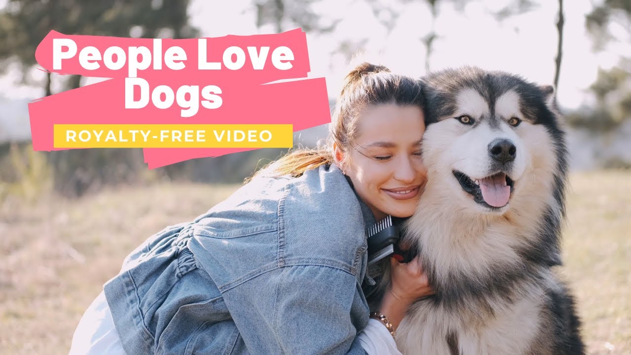 People Love Dogs Stock Footage Royalty free, No copyright, free download #peopleanddogs #animallove