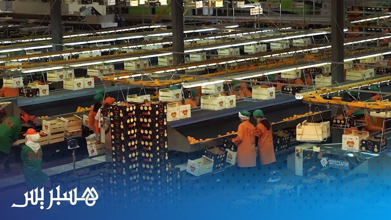 القائمة بالأعمال الأمريكية بالرباط تشجع إنتاج الليمون بمدينة بركان