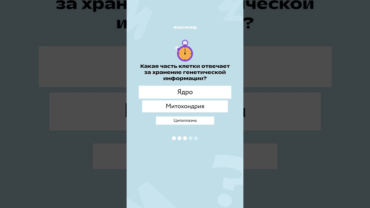 Проверяем ваши знания из школьной программы😏#фоксфорд #домашняяшкола #школа #образование #ОпятьУчёба