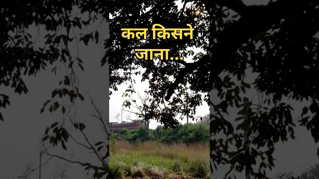 Jeevan 🛖 | Day 73/365 | 