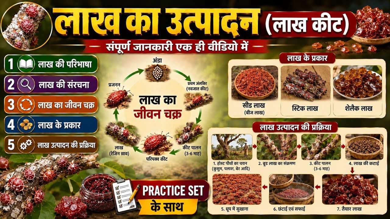 लाख का कीट कैसे लाख बनाता है?|Lac Culture in Hindi | lac life cycle | Lac Insect Farming Explained |