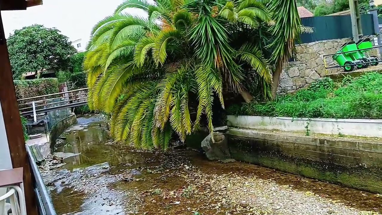 I went out for a walk on a rainy day in europe.#europe @muhstanandMahmud 