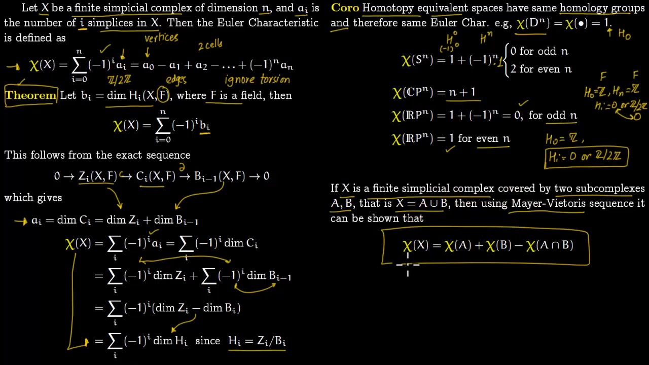 Euler Characteristic