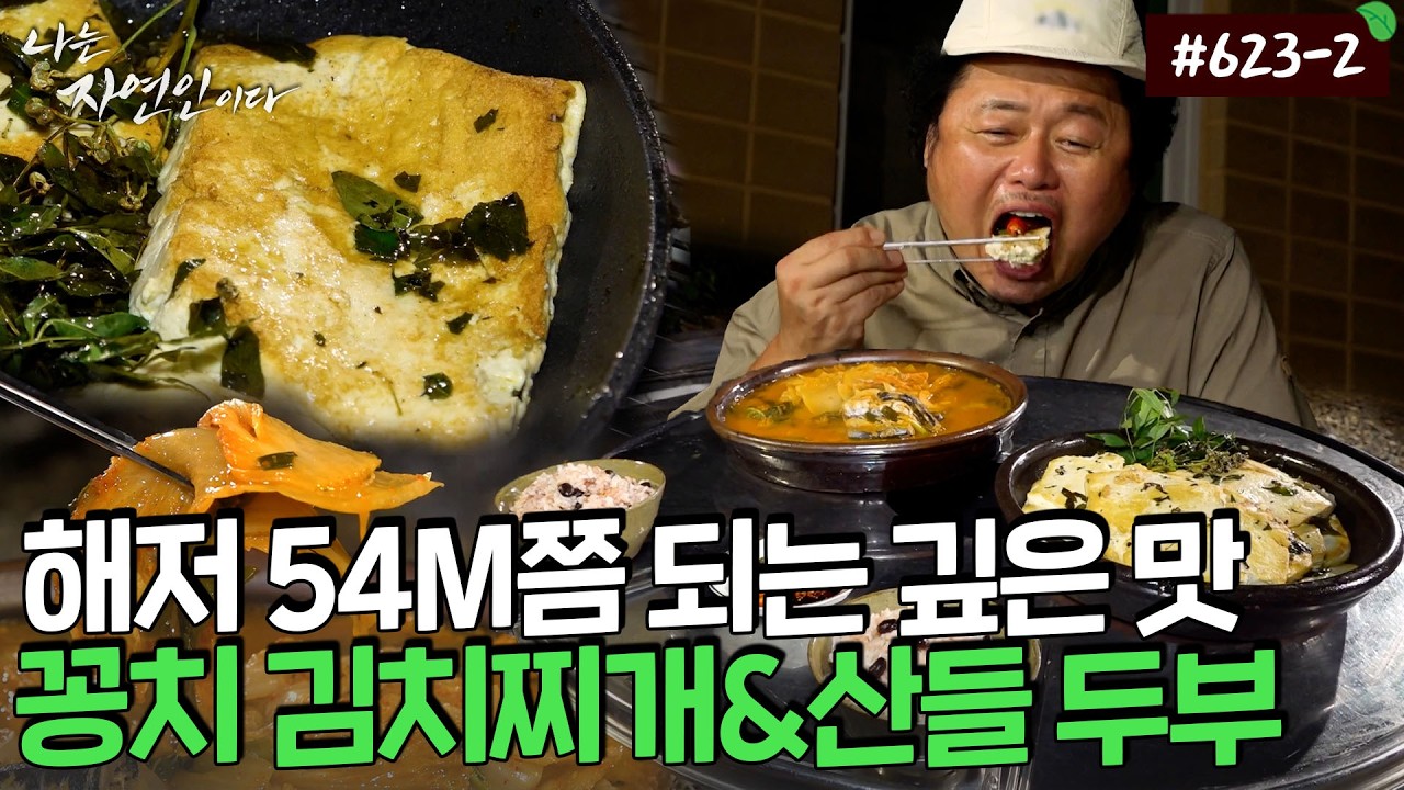 들기름에 산초 열매를 넣은 산들산들~산초 두부에 꽁치 김치찌개까지...갓벽한 저녁 한상✨｜자연인 다시 보기 623-2