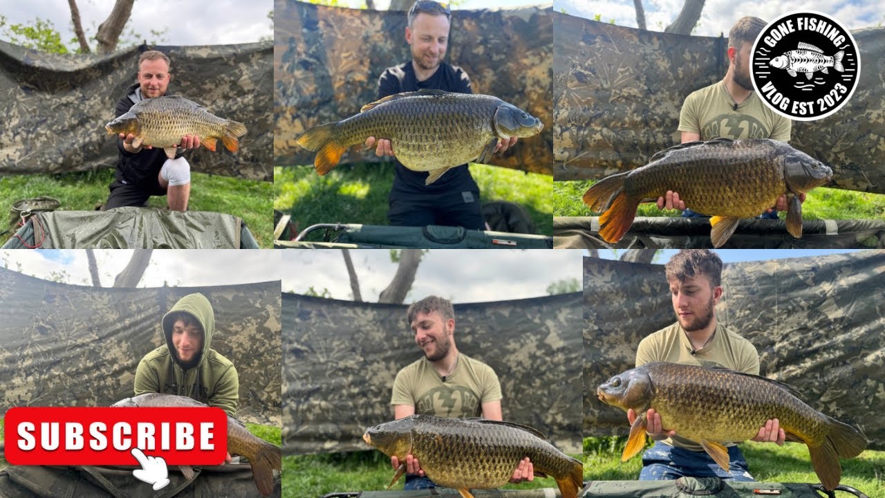 Simon the Sheep 🐑 Parker Baits magic Beans saving the day 🤙🏻