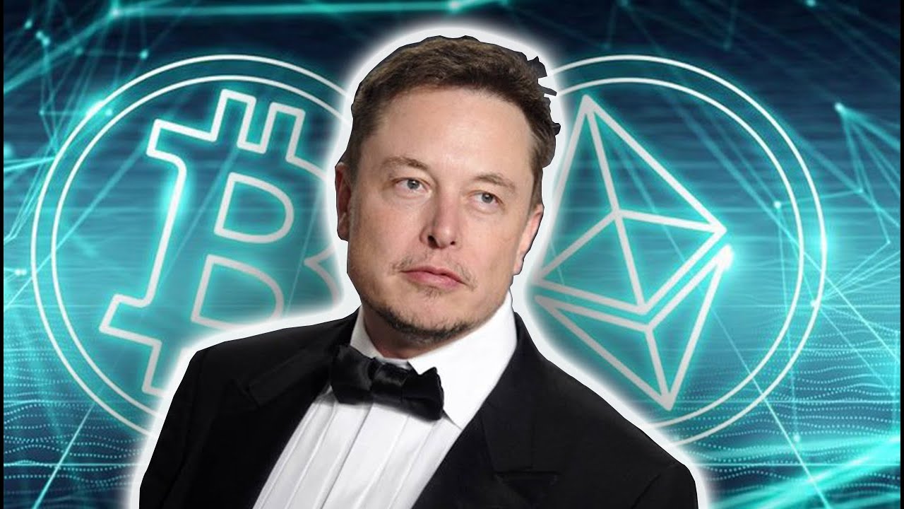 Elon Musk & Co: Is Bitcoin The Solution? (RARE INTERVIEW)