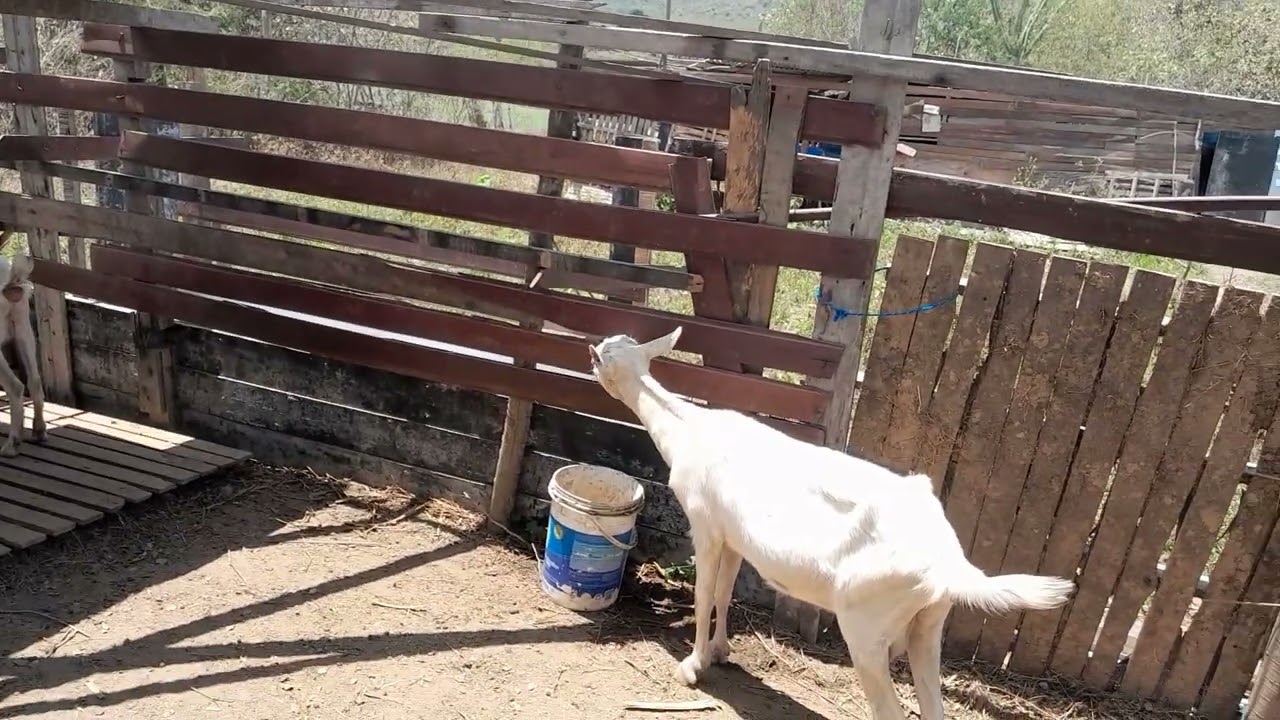 Comersando do zero sitio boa sorte vai dar certo em nome de Jesus 
