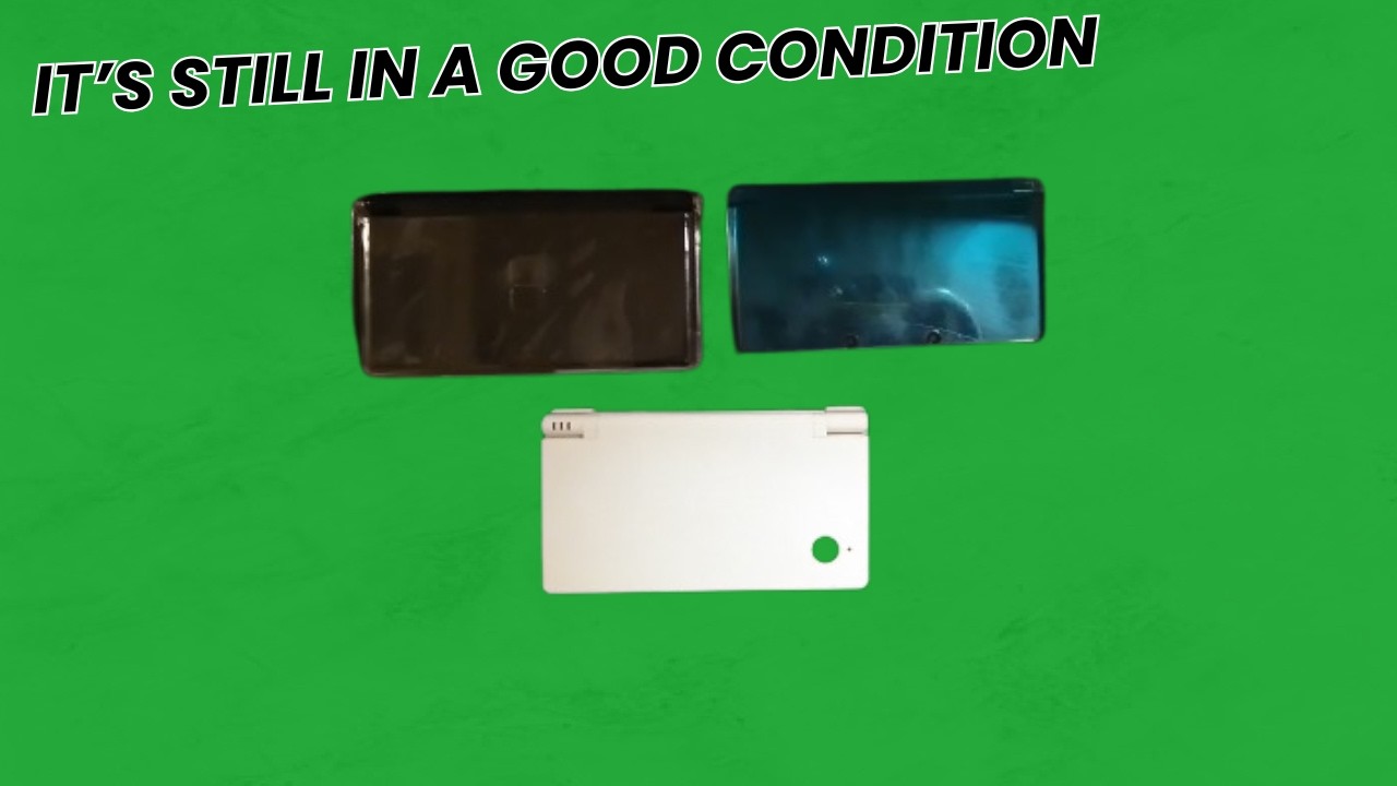 What's In My Nintendo 3Ds, DSi and DS Lite || Ranny's Hobbs