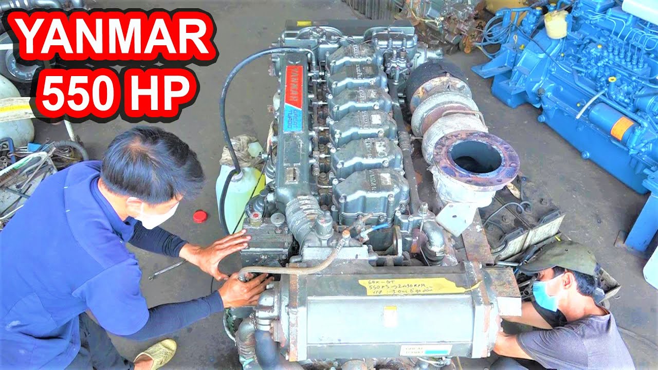 Nổ Máy YANMAR 550 HP || Hàng Mới Về || Ngon Khó Tả