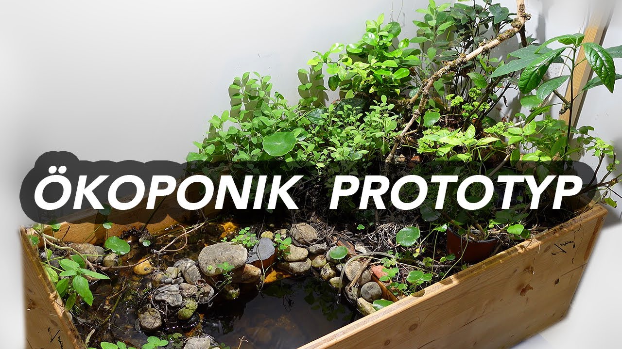 Aquaponik im Bad! (So eine Anlage habt ihr noch nie gesehen)