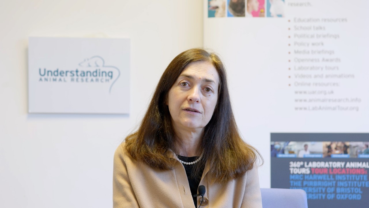 Why are animals used in scientific research?