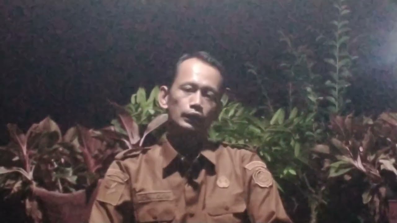 MEMBELI KECAMBAH KELAPA SAWIT LEBIH BAIK DARI PADA MEMBELI BIBIT KELAPA SAWIT