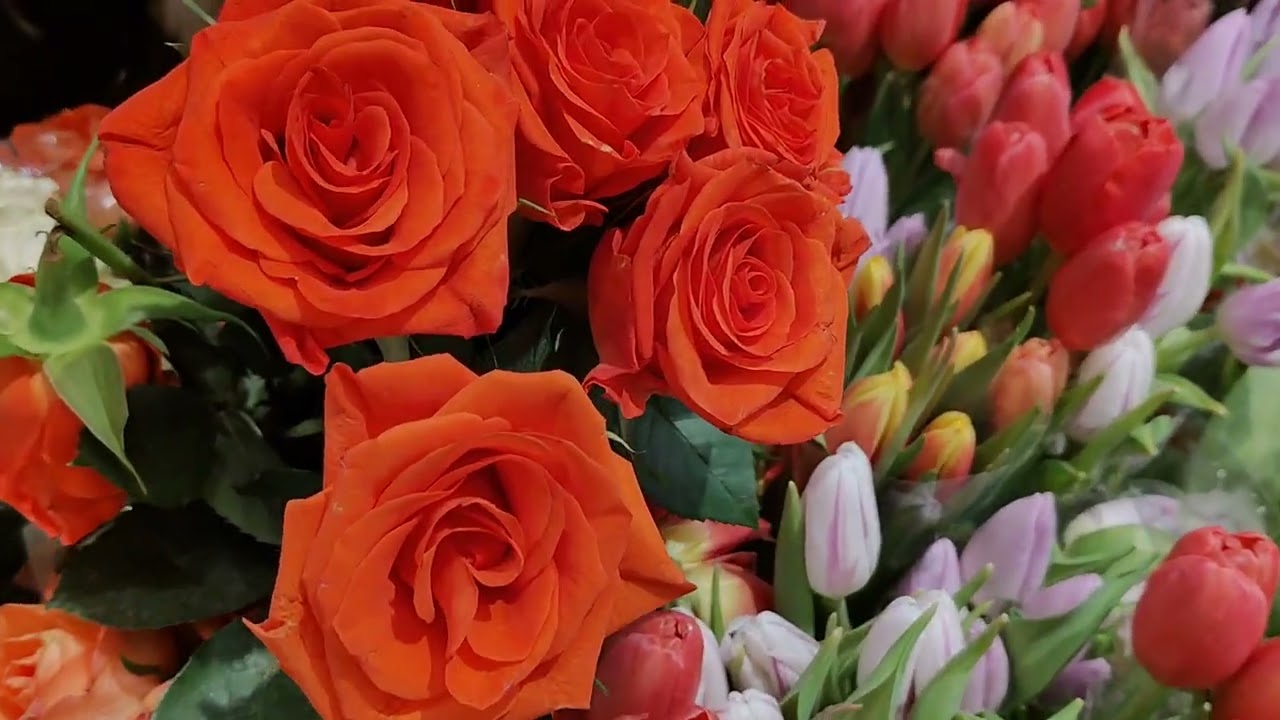 سبحان خالق هاد الجمال