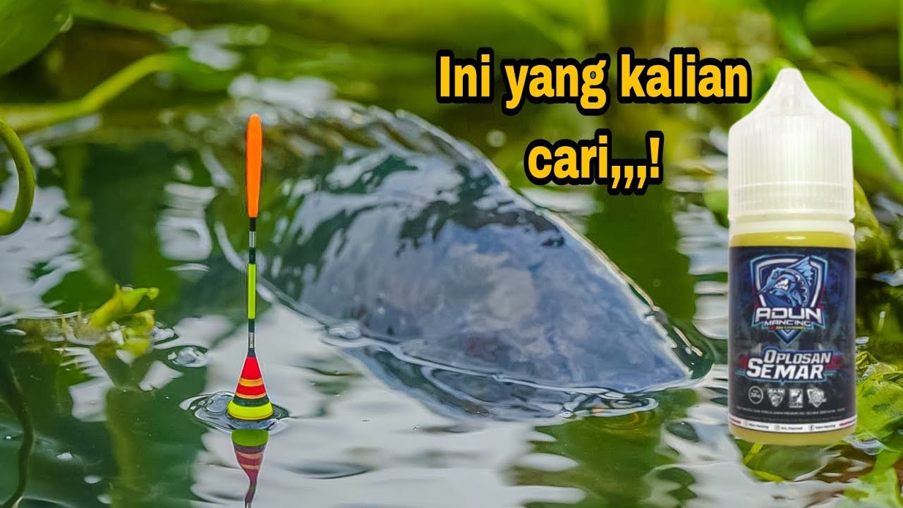 Experimen Umpan Mancing Produk Indonesia Pemancing Bakal Nagih Pake Essen Ini