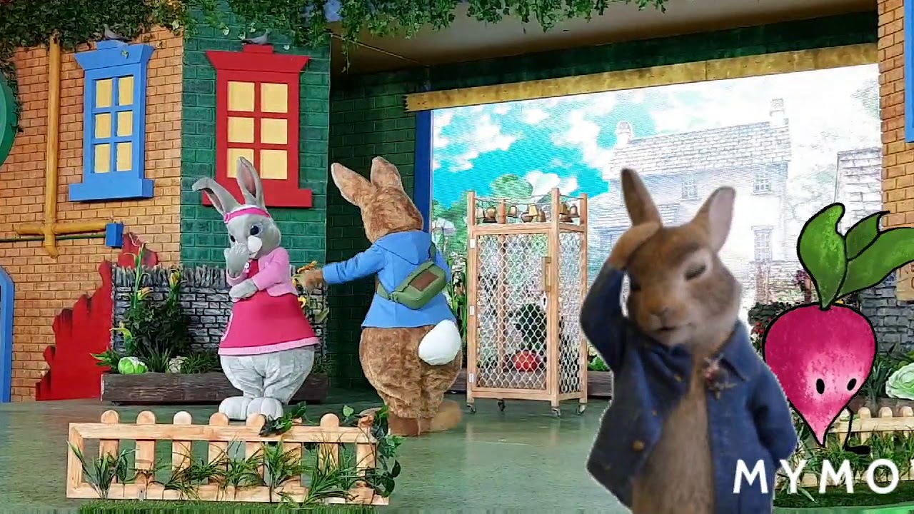 Peter rabbit show. Part 1@JAMHAPPYKIDS