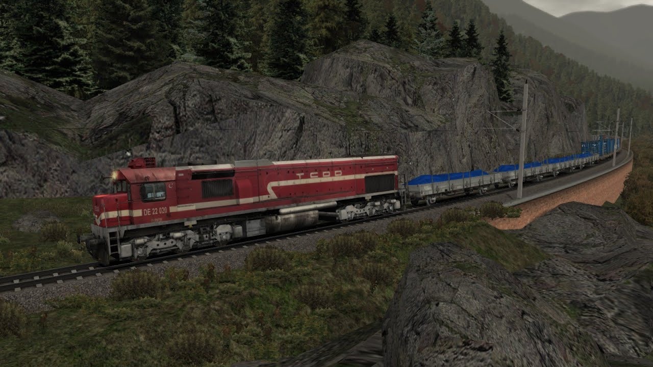 DE22020 Yük Treni (TS2020)