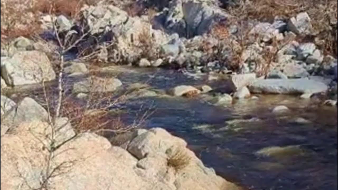 Relaxing Stream Sounds