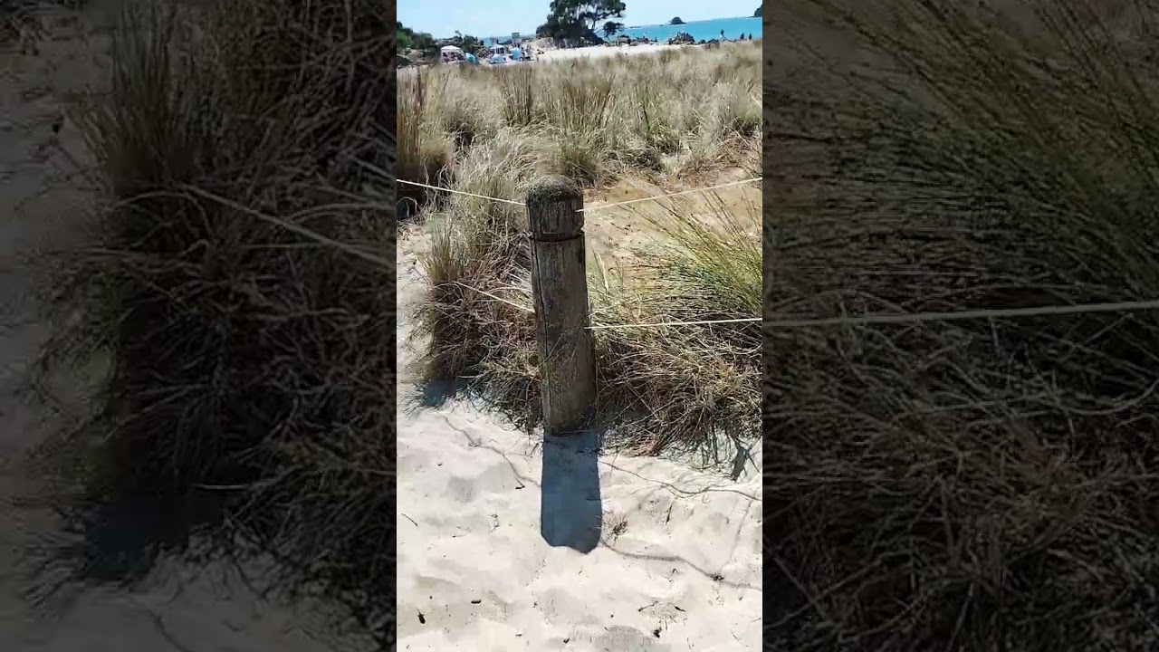 📍🇦🇺Tauranga Newzealand 