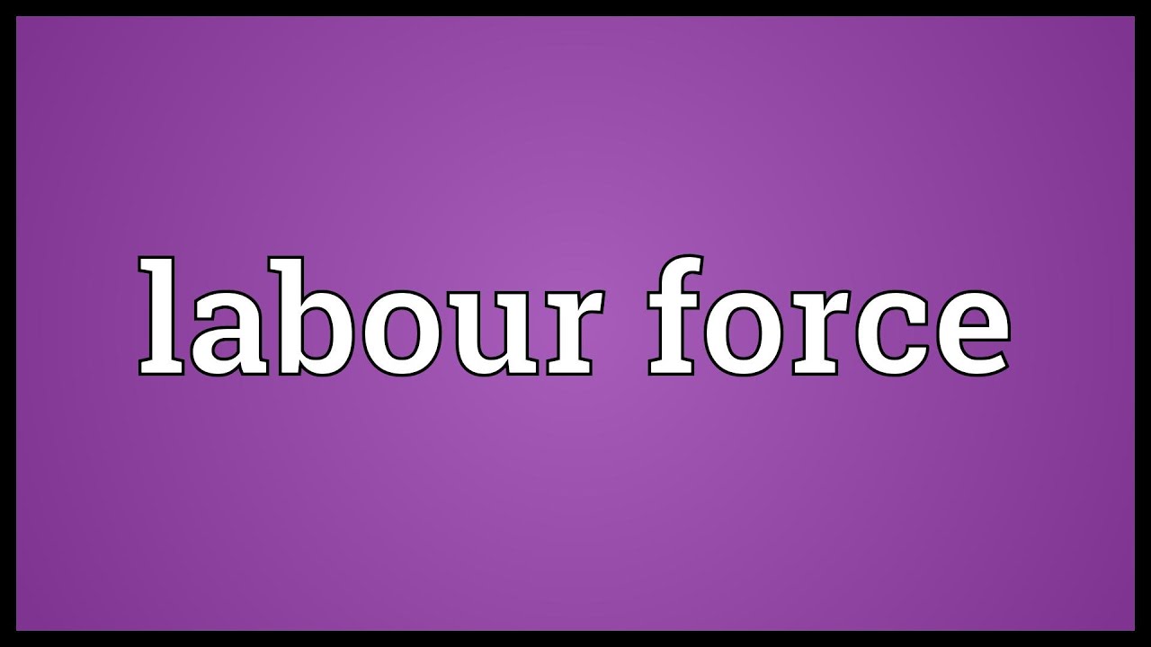 Labour force Meaning