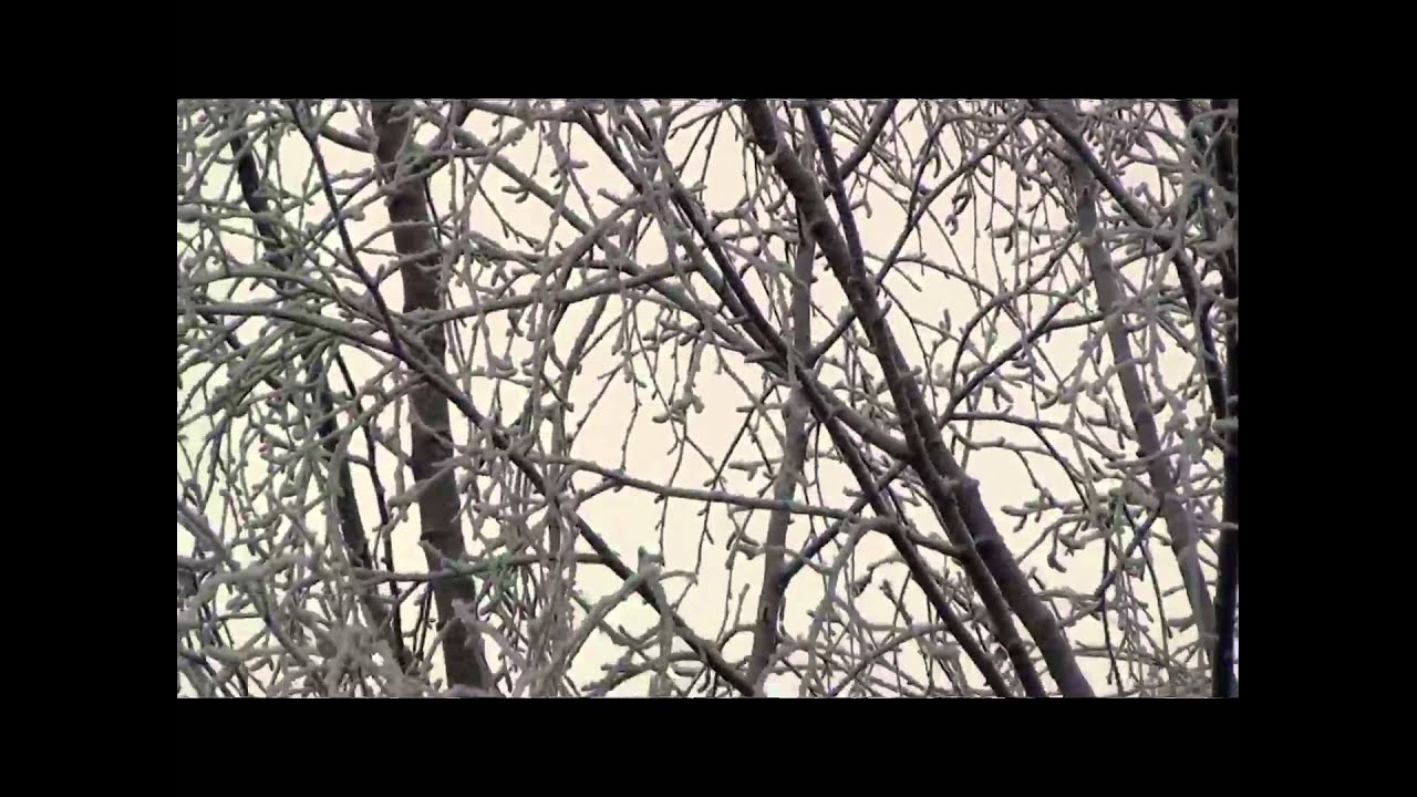 Rami - Matteo Gazzolo - Norway 2013