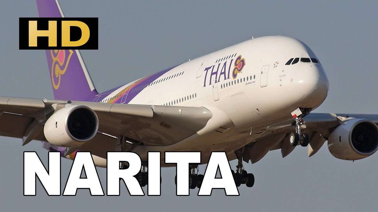 Thai Airways Airbus A380 - Plane Spotting at Tokyo Narita Airport / 成田空港