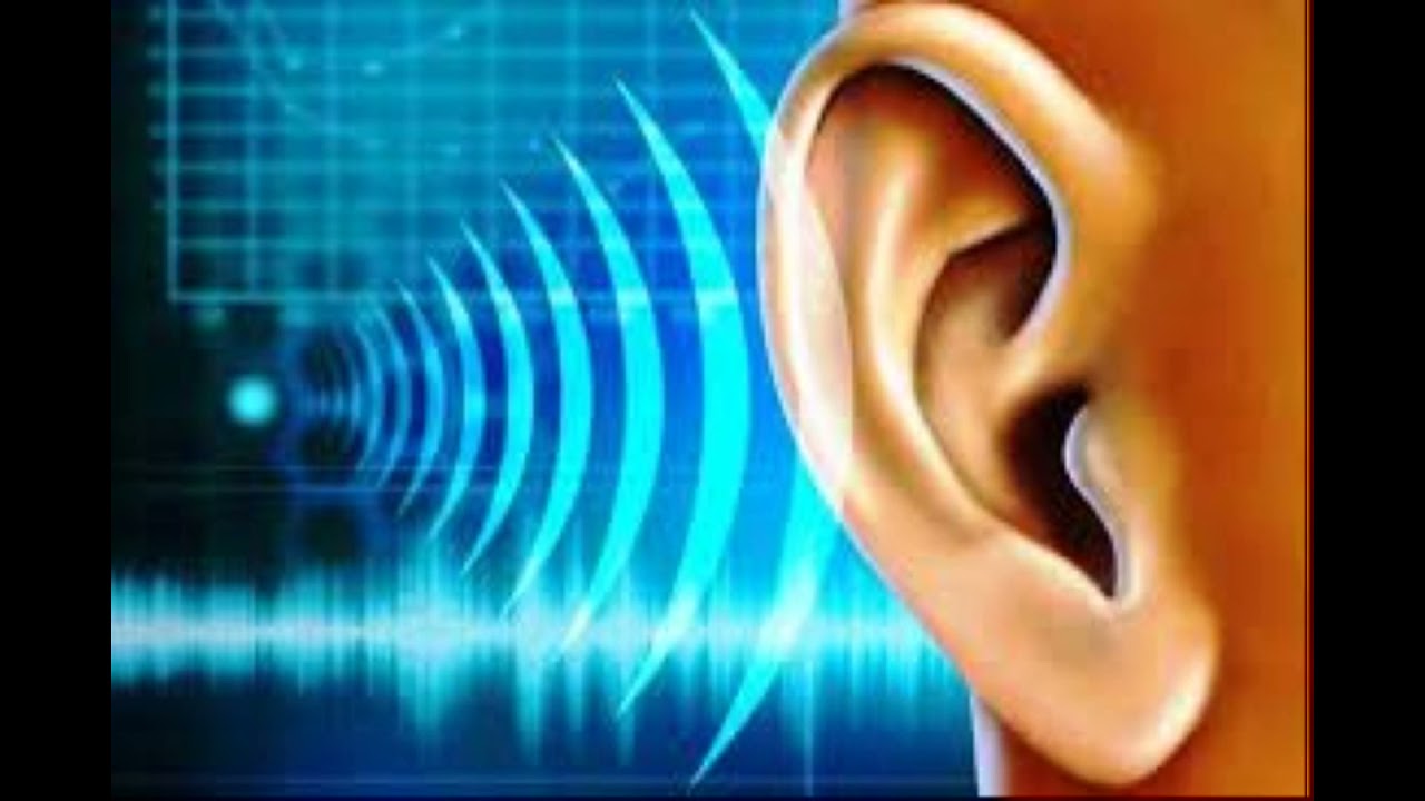 ديدين كلاش فيت داسي didine canon 16 ft dassi